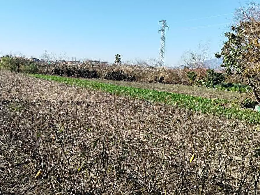Immagine 3 di Terreno agricolo in vendita  in Via San Valentino 128 a Sarno