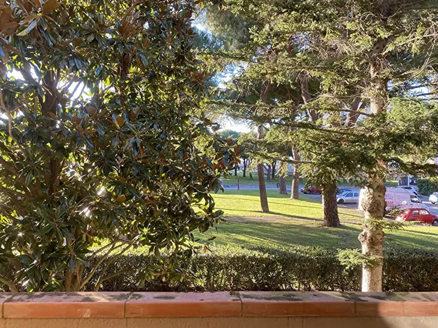 Immagine 14 di Appartamento in vendita  in Via Ungheria  1 a Grosseto