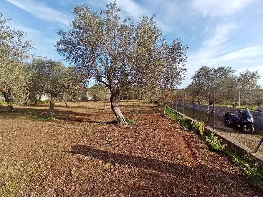 Immagine 11 di Terreno agricolo in vendita  in Str. bancali - argentiera  112 a Sassari