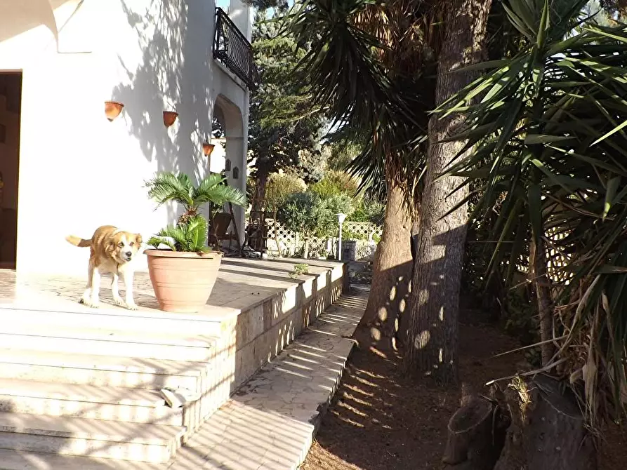 Immagine 37 di Appartamento in vendita  in Via San Carlo Borromeo 6 a Taranto