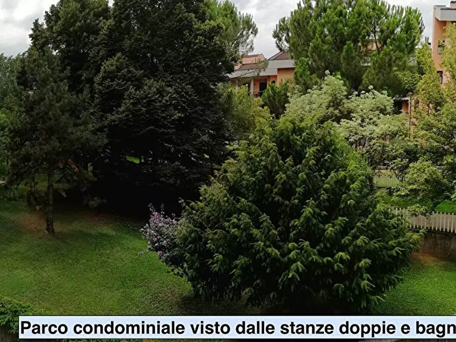 Immagine 10 di Camera condivisa in affitto  in VIA TADDEA DA CARRARA 1 a Verona