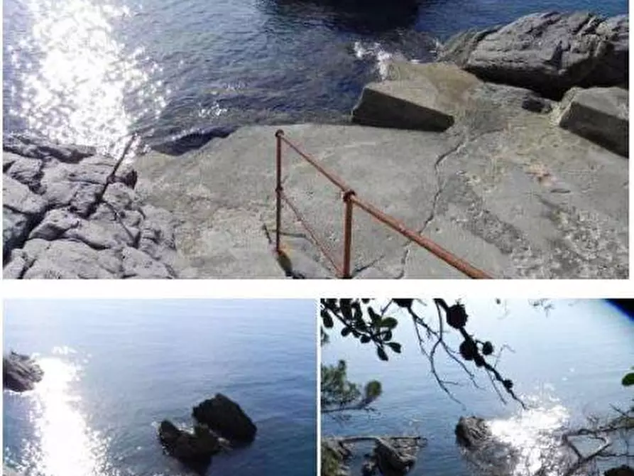 Immagine 8 di Villa in vendita  in VIA AURELIA 260 a Zoagli