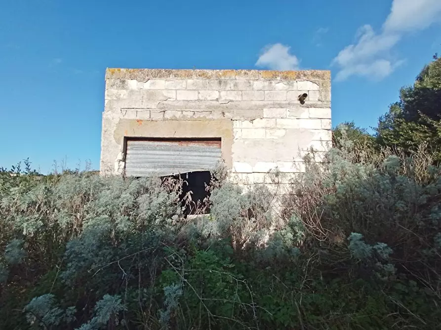 Immagine 3 di Magazzino in vendita  in SV San Quirico snc a Sassari