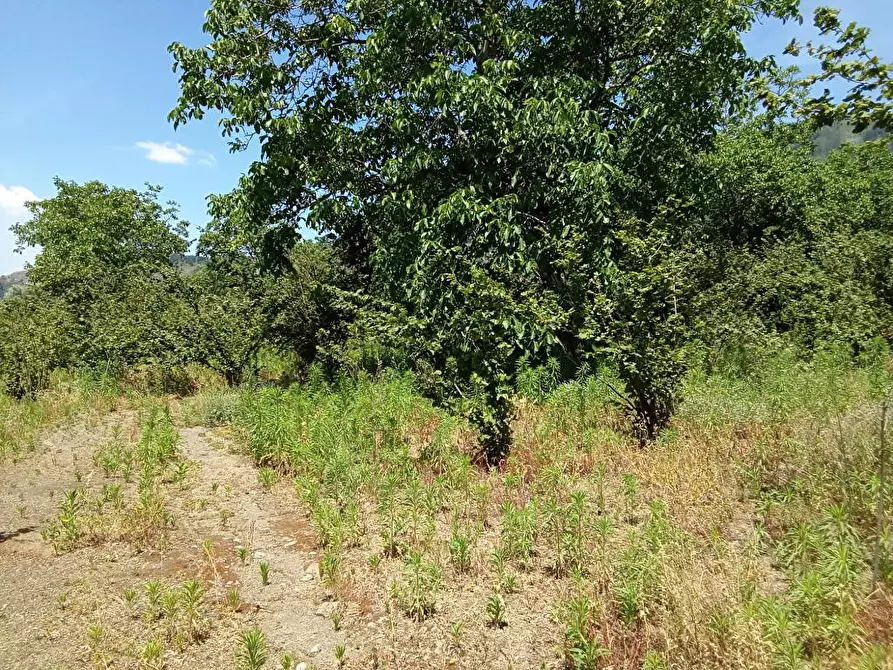 Immagine 3 di Terreno agricolo in vendita  in Via Sant'Eramo 1 a Sarno