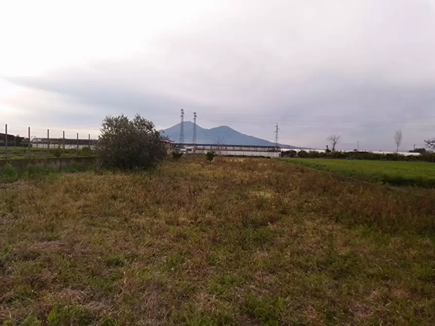 Immagine 1 di Terreno agricolo in vendita  in Via Cattaneo 1 a San Valentino Torio