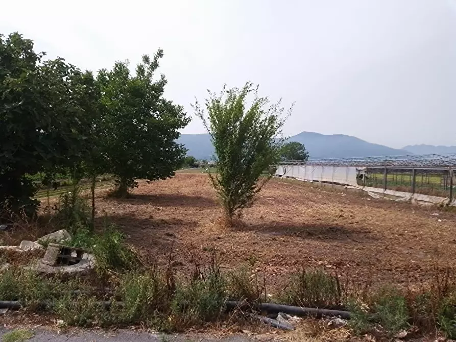 Immagine 4 di Terreno agricolo in vendita  in Via Astone 1 a Sarno
