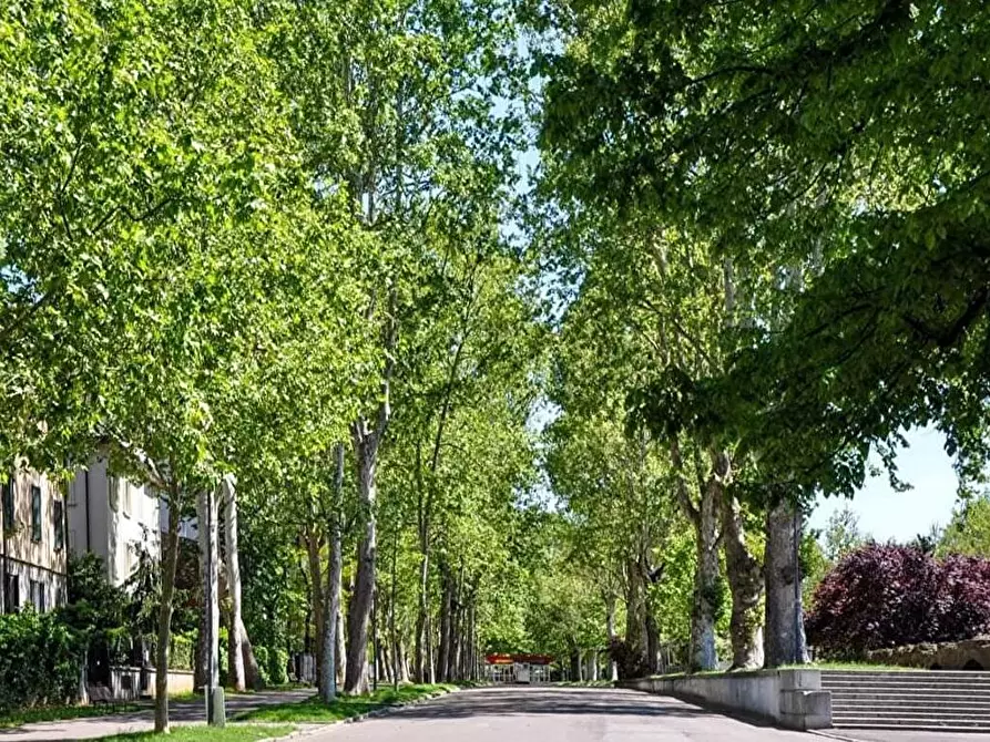 Immagine 4 di Affittacamere in affitto  a Piacenza