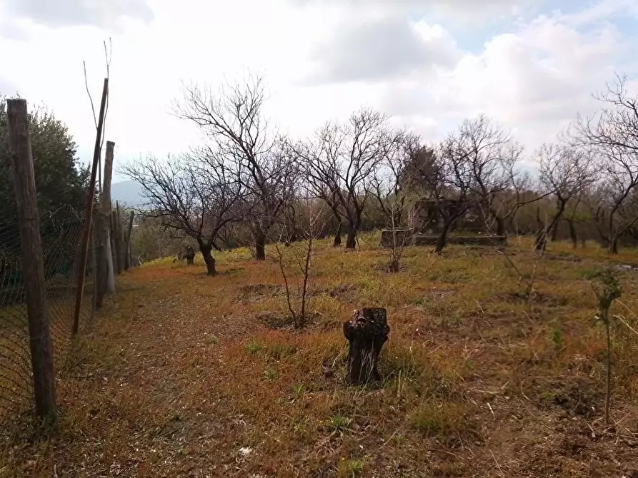 Immagine 6 di Terreno agricolo in vendita  in Via Bracigliano 1 a Sarno