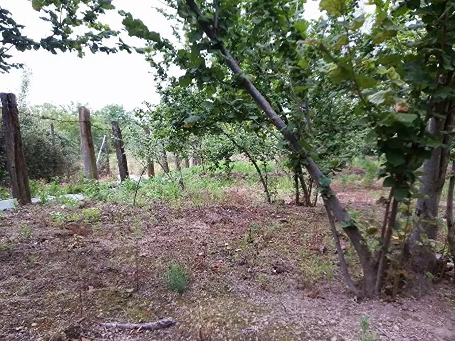 Immagine 9 di Terreno in vendita  in Via Sant'Eramo 10 a Sarno