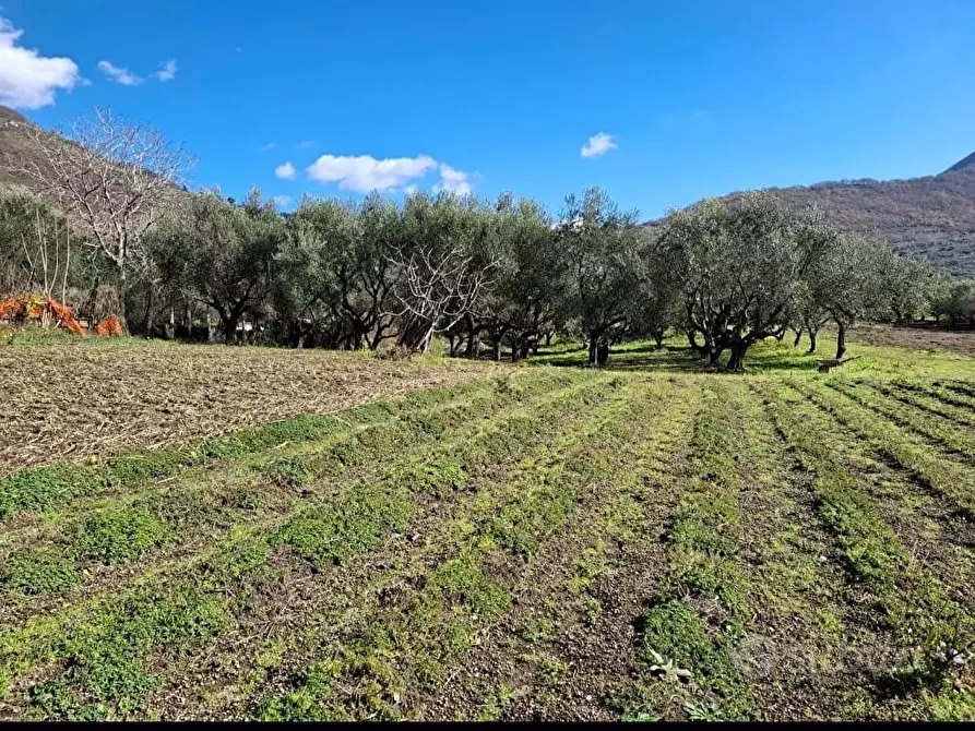 Immagine 3 di Terreno in vendita  in Via Villa Venere 1 a Sarno
