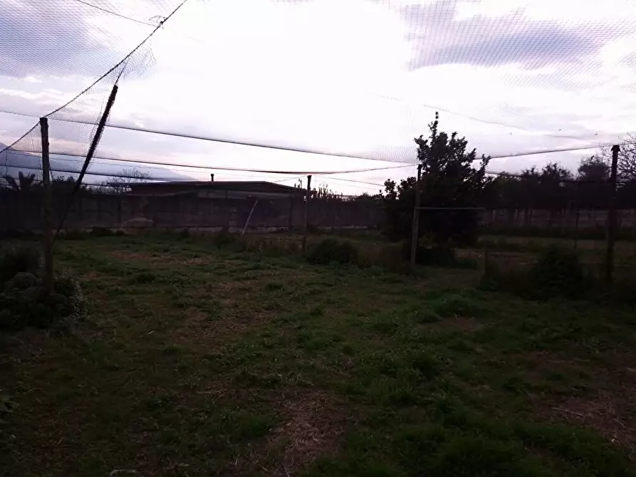 Immagine 7 di Terreno agricolo in vendita  in Via S.Vito 101 a Sarno