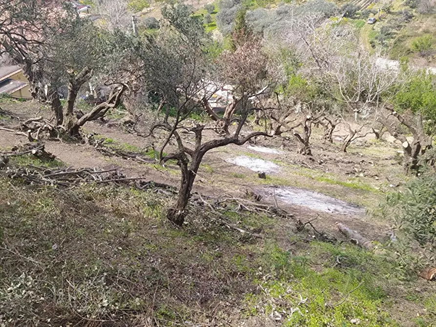 Immagine 6 di Terreno agricolo in vendita  in Via Bracigliano 1 a Sarno