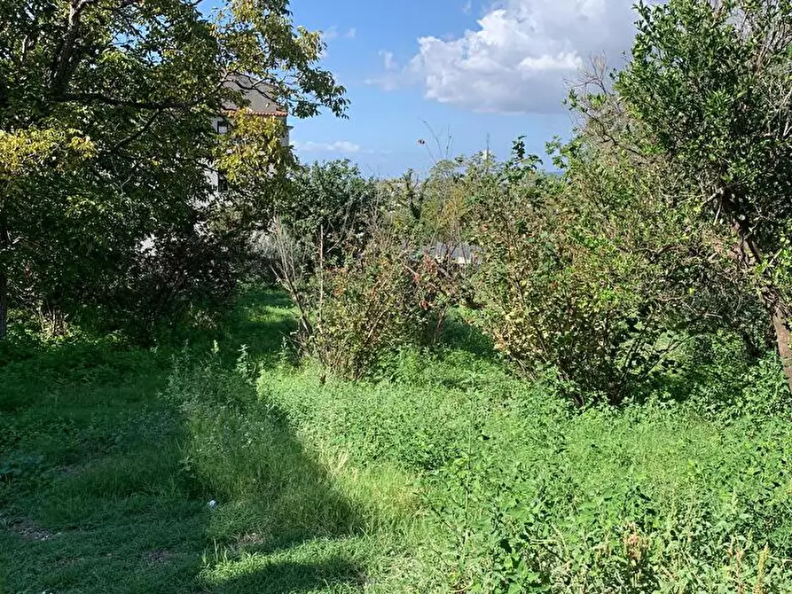 Immagine 7 di Terreno agricolo in affitto  in Via Le Noci 1 a Sarno
