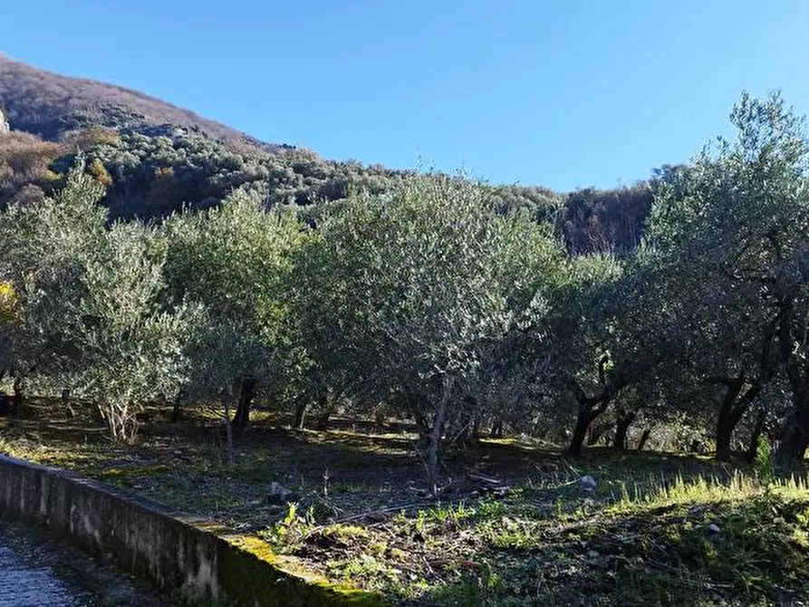 Immagine 1 di Terreno agricolo in vendita  in Via Calabrici 1 a Sarno