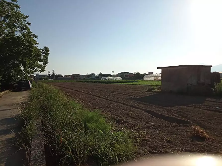 Immagine 1 di Terreno agricolo in vendita  in Via 2 Starzella 1 a Sarno