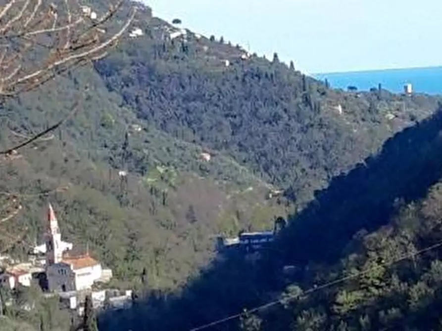 Immagine 8 di Casa colonica in vendita  in ARBOCO' 6 a Rapallo
