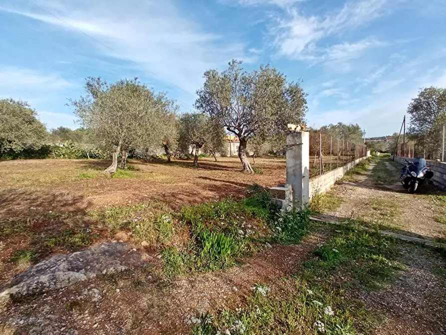 Immagine 2 di Terreno agricolo in vendita  in Str. bancali - argentiera  112 a Sassari