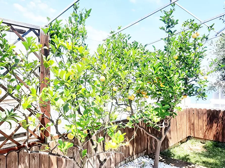 Immagine 20 di Attico in vendita  in via perosi a Bari