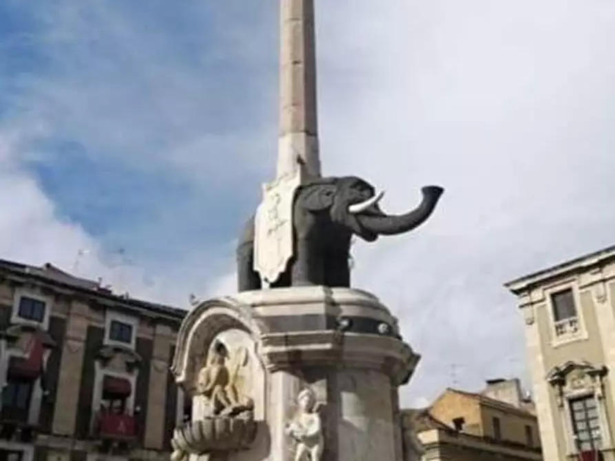 Immagine 18 di Albergo/B&B/Residence in affitto  in Via fiume 27 a Catania