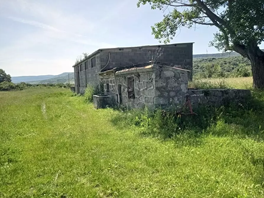Immagine 17 di Terreno agricolo in vendita  in Matta e Padru snc a Bonorva