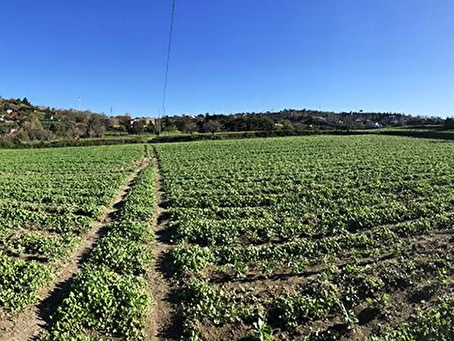 Immagine 7 di Stabile in vendita  in Via Cigliano snc a Pozzuoli