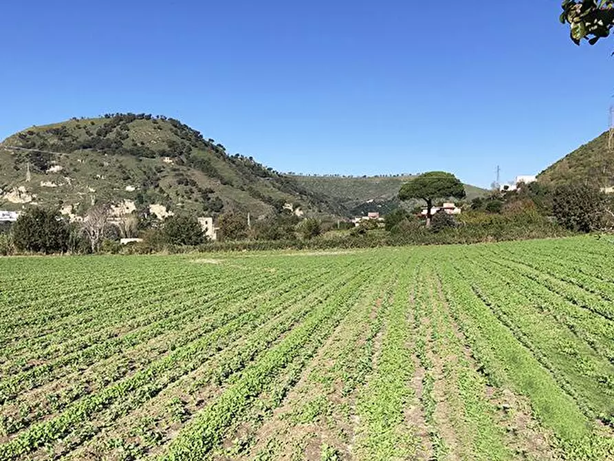 Immagine 2 di Stabile in vendita  in Via Cigliano snc a Pozzuoli