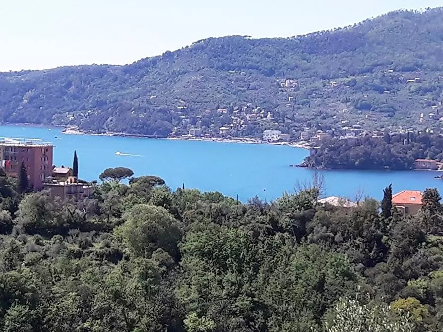 Immagine 1 di Quadrilocale in vendita  in VIA CORNICE DI S. AMBROGIO 88 a Rapallo