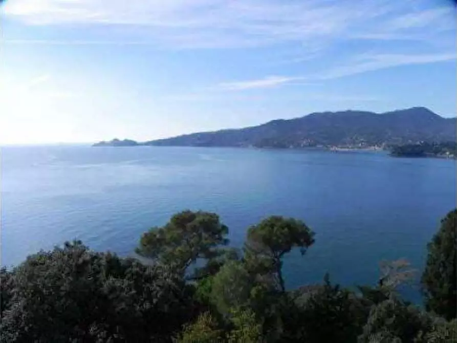Immagine 10 di Villa in vendita  in VIA AURELIA 237 a Zoagli
