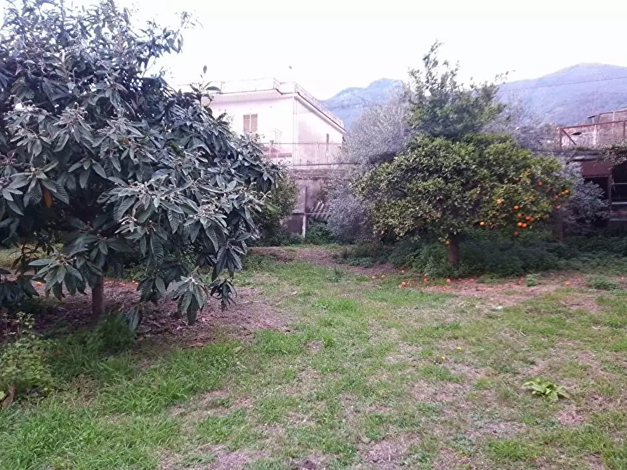 Immagine 9 di Terreno agricolo in vendita  in Via S.Vito 101 a Sarno