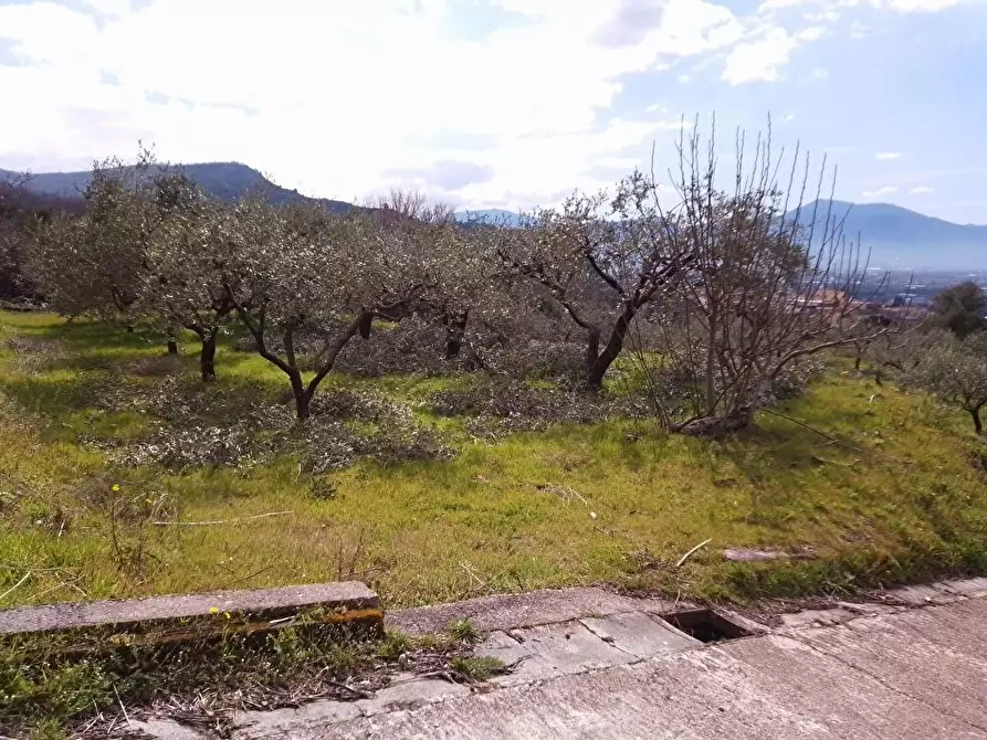 Immagine 5 di Terreno agricolo in vendita  in Via S.Vito  1 a Sarno