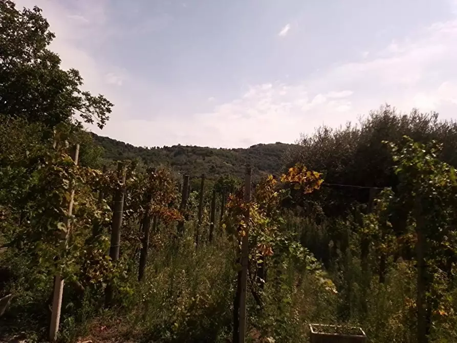 Immagine 19 di Terreno agricolo in vendita  in Via Villa Venere 1 a Sarno