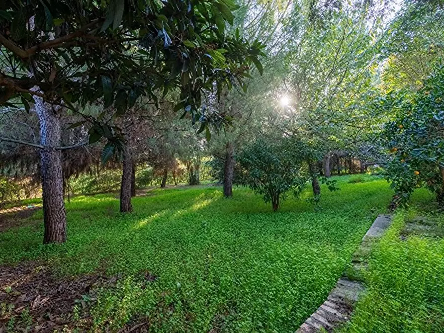 Immagine 8 di Casa indipendente in vendita  in Via Delfico snc a Roseto Degli Abruzzi