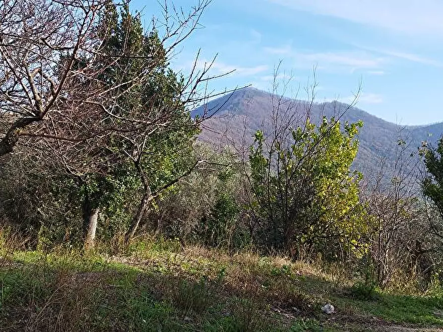 Immagine 3 di Terreno agricolo in vendita  in Via Bracigliano 1 a Sarno