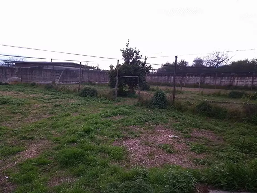 Immagine 8 di Terreno agricolo in vendita  in Via S.Vito 101 a Sarno