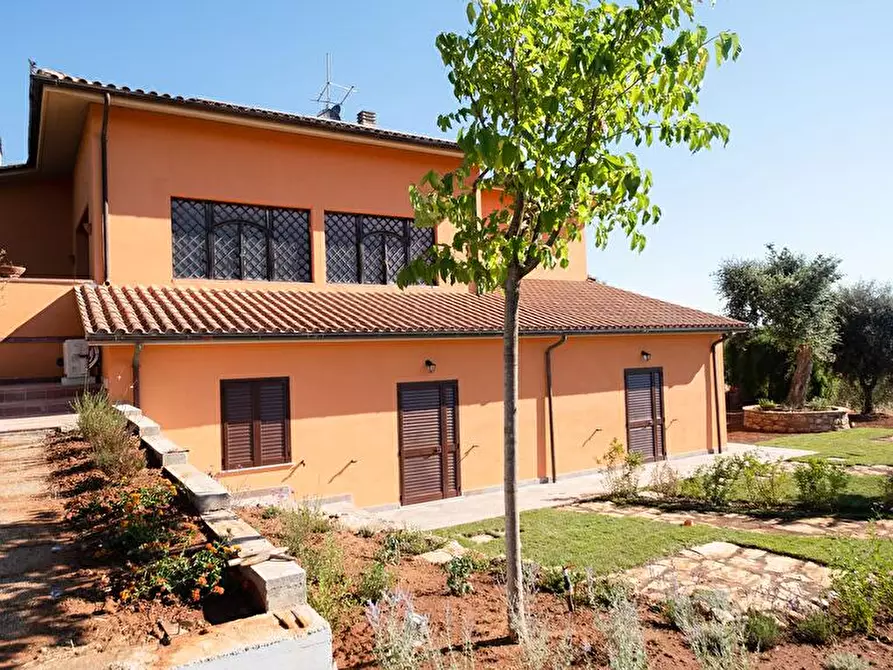 Immagine 3 di Casa vacanze in affitto  a Grosseto