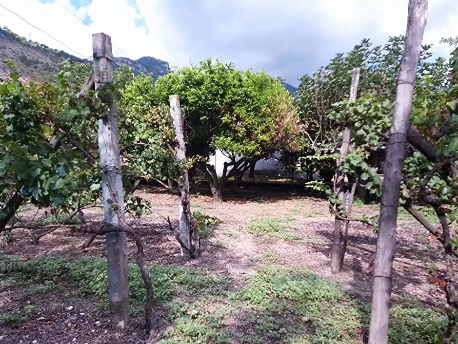 Immagine 10 di Terreno agricolo in vendita  in Via  San Vito 1 a Sarno
