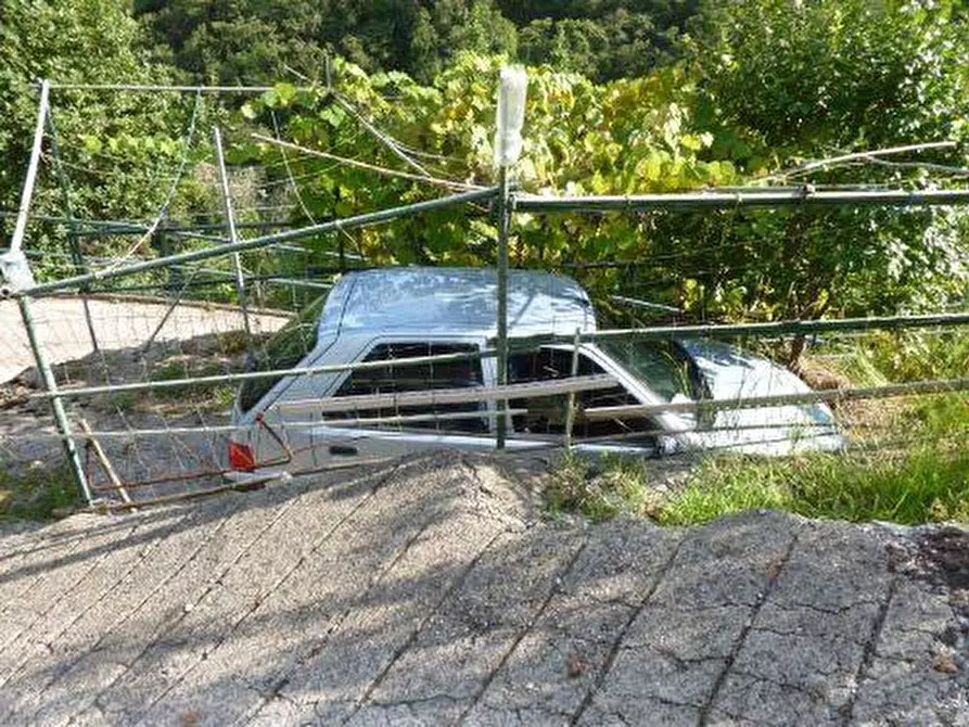 Immagine 6 di Casa colonica in vendita  in ARBOCO' 6 a Rapallo