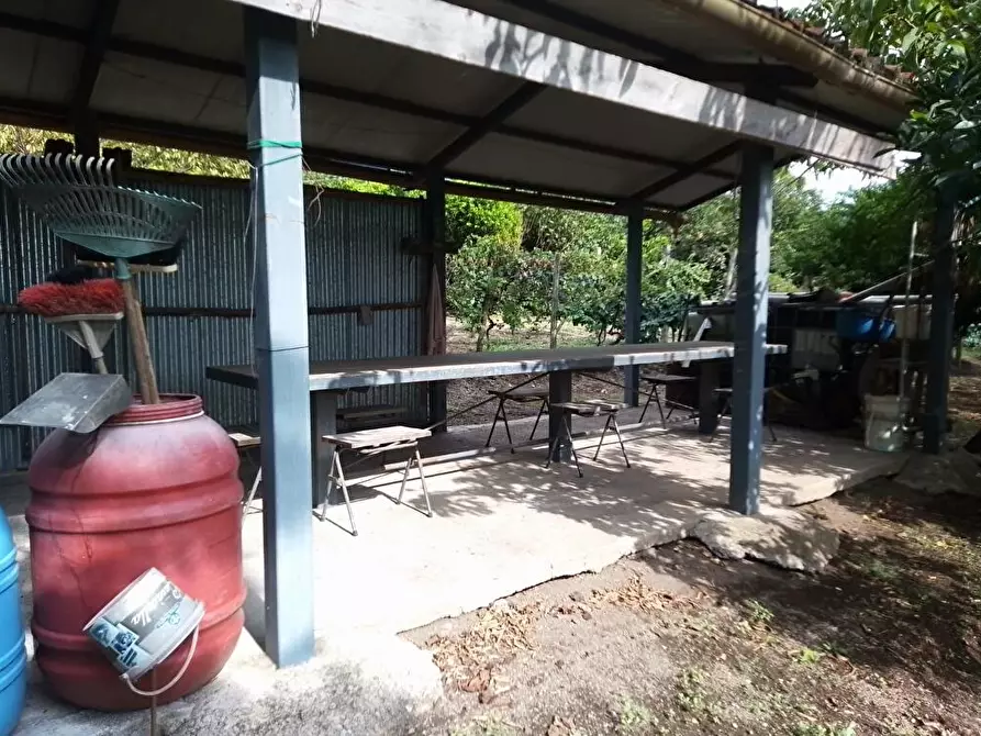 Immagine 5 di Terreno agricolo in vendita  in Via  San Vito 1 a Sarno