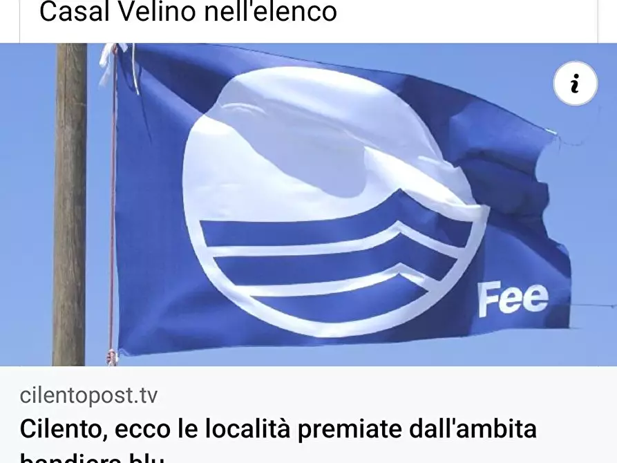 Immagine 9 di Casa vacanze in affitto  a Casal Velino