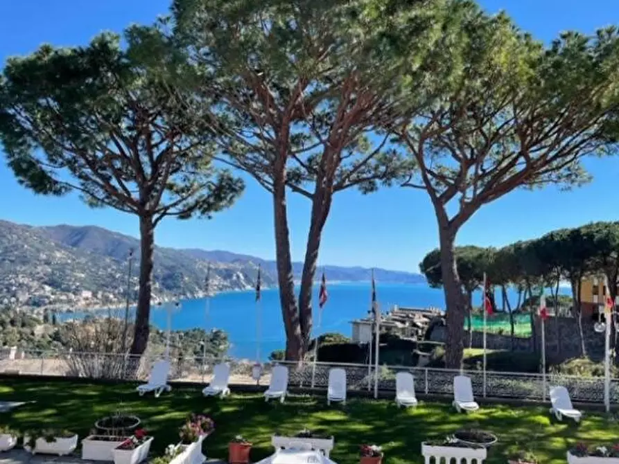 Immagine 7 di Appartamento in vendita  in via privata dei lecci 2 a Rapallo