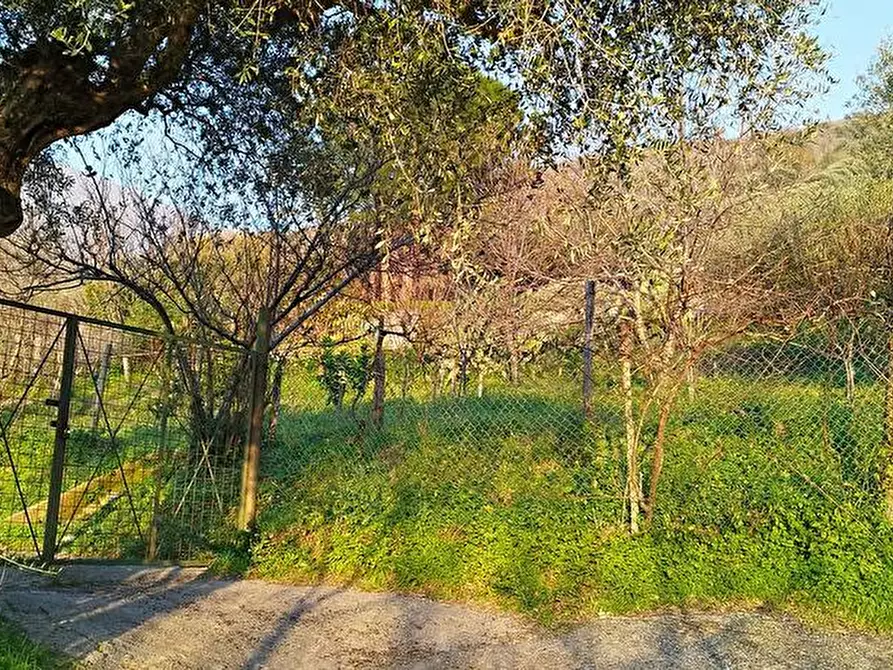 Immagine 4 di Terreno agricolo in vendita  in Via Sant'Eramo 10 a Sarno