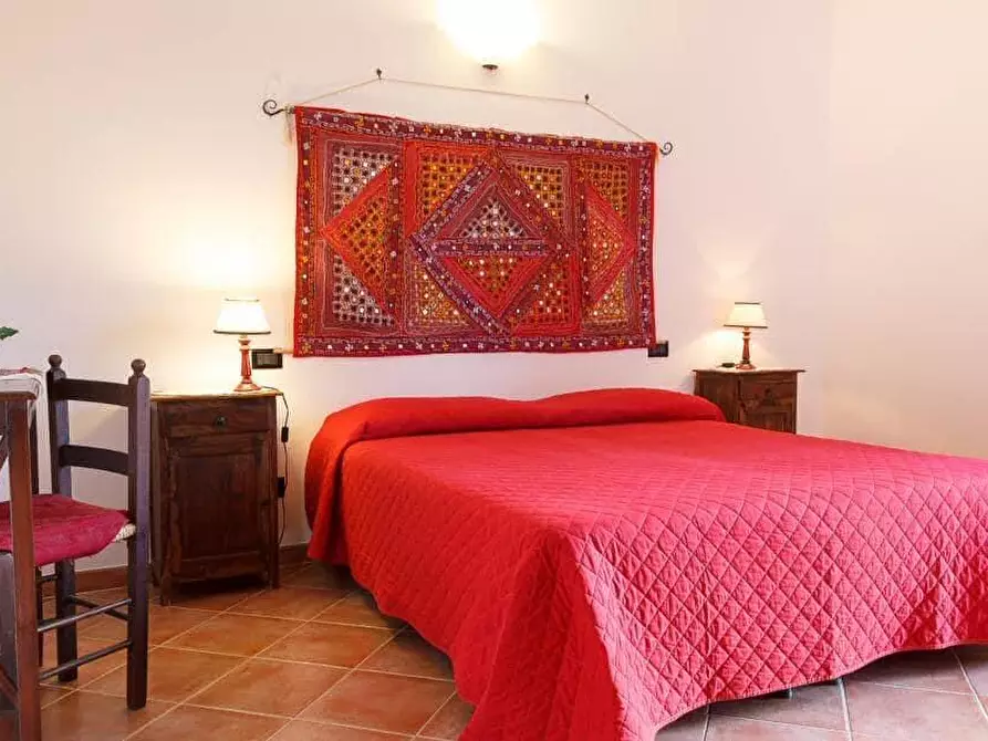 Immagine 2 di Appartamento in affitto  a Grosseto