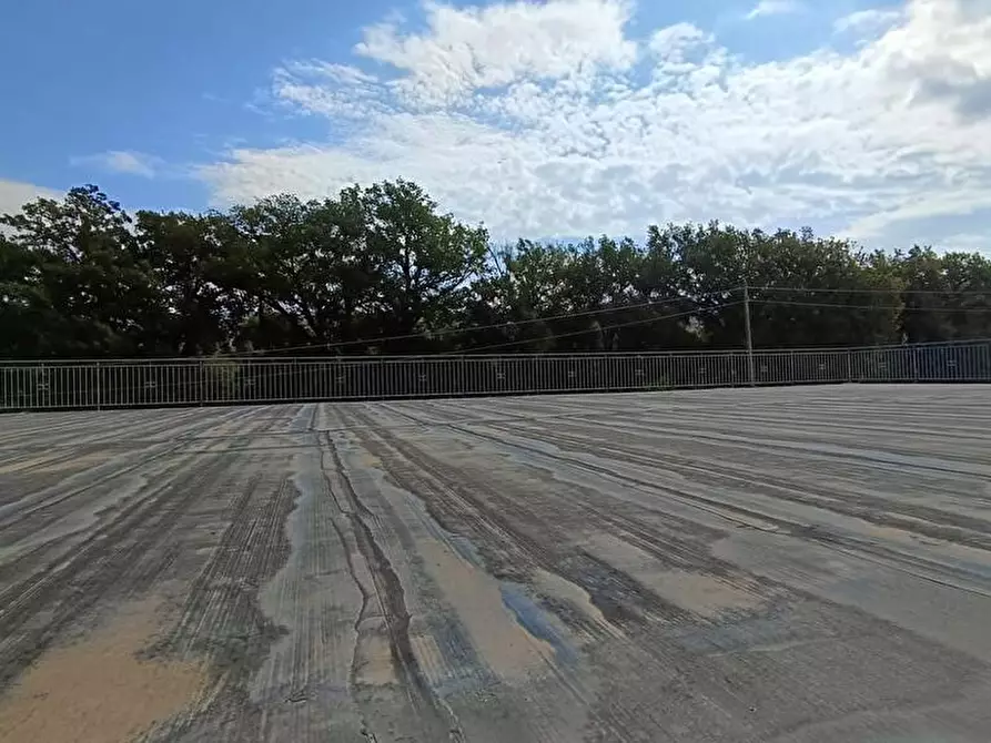 Immagine 4 di Casa indipendente in vendita  in Contrada Zampini  a Ascea