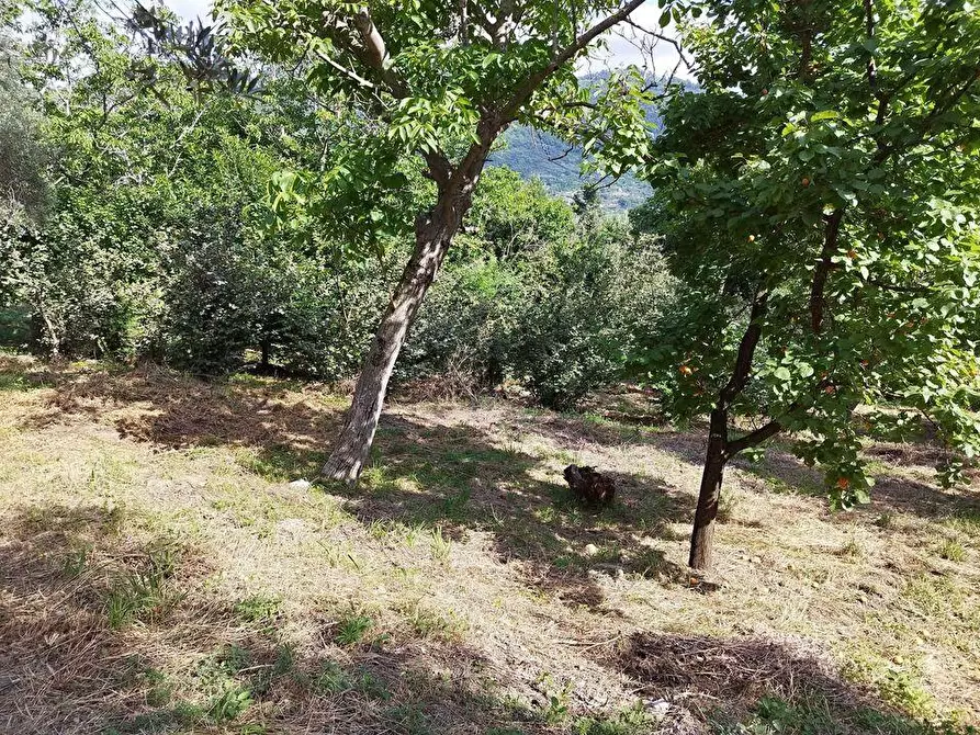 Immagine 3 di Terreno agricolo in vendita  in Via  Bracigliano 1 a Sarno