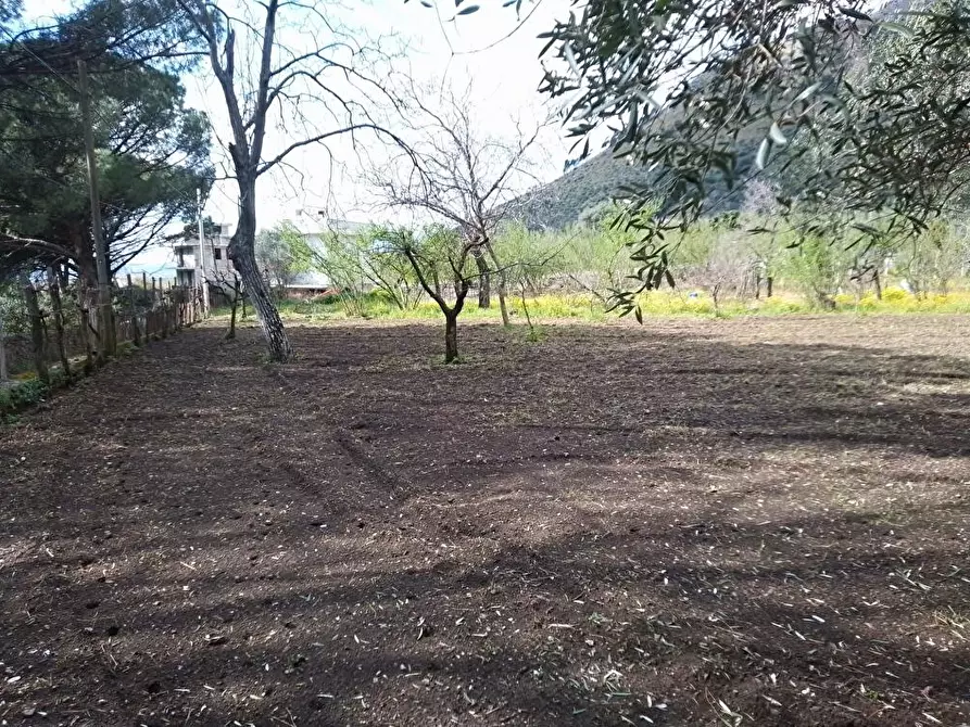 Immagine 3 di Terreno agricolo in vendita  in Via S.Vito  1 a Sarno