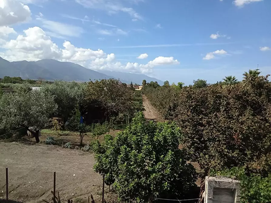 Immagine 6 di Terreno agricolo in vendita  in Via Vecchia Lavorate 1 a Sarno