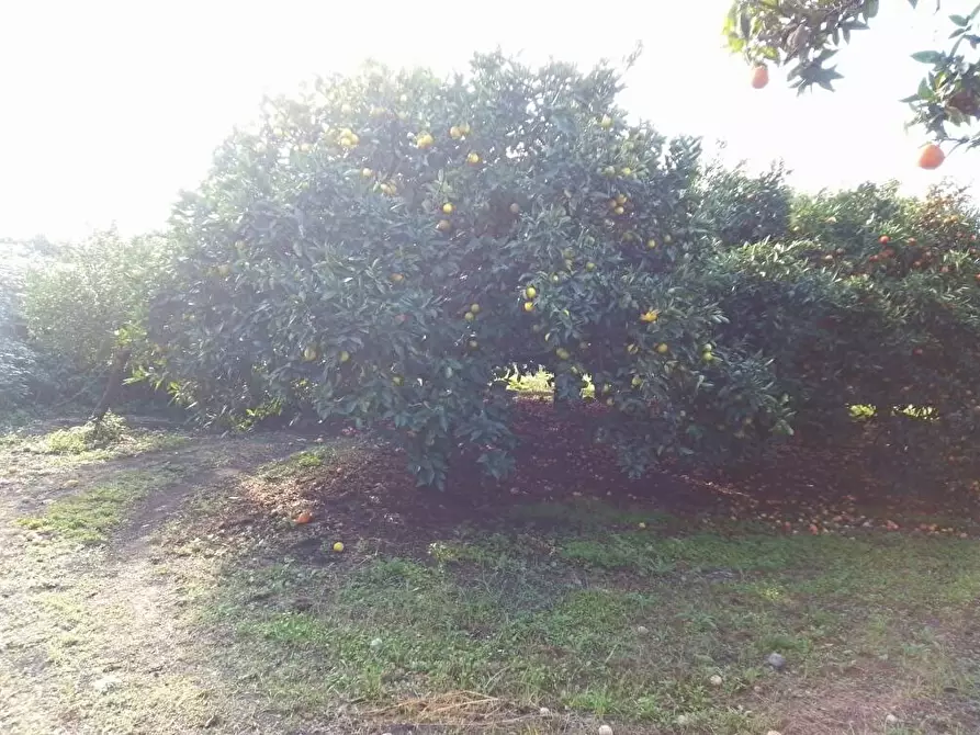 Immagine 7 di Terreno in vendita  in Via Mura D'Arci 1 a Sarno