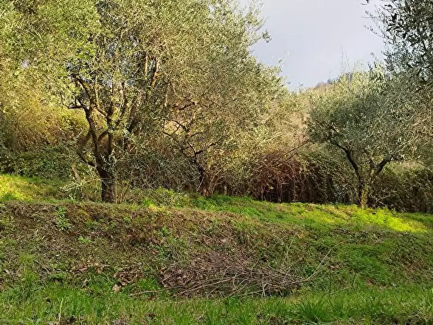 Immagine 2 di Terreno agricolo in vendita  in Via Bracigliano 1 a Sarno