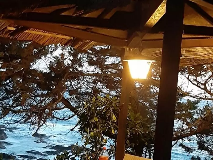 Immagine 3 di Appartamento in affitto  in vai aurelia 1083 a Rosignano Marittimo