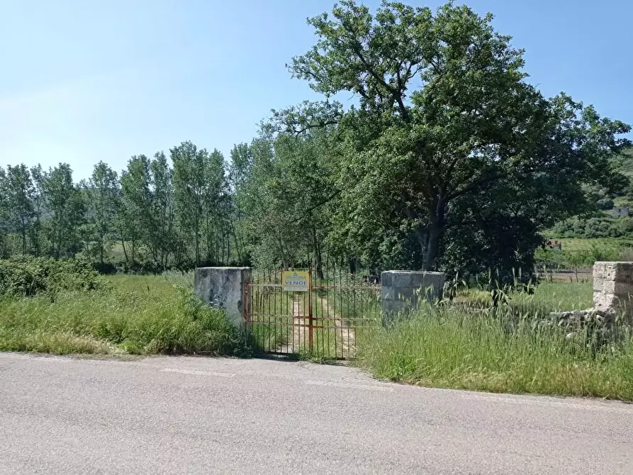 Immagine 1 di Terreno agricolo in vendita  in Matta e Padru snc a Bonorva